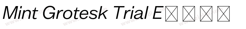 Mint Grotesk Trial E字体转换